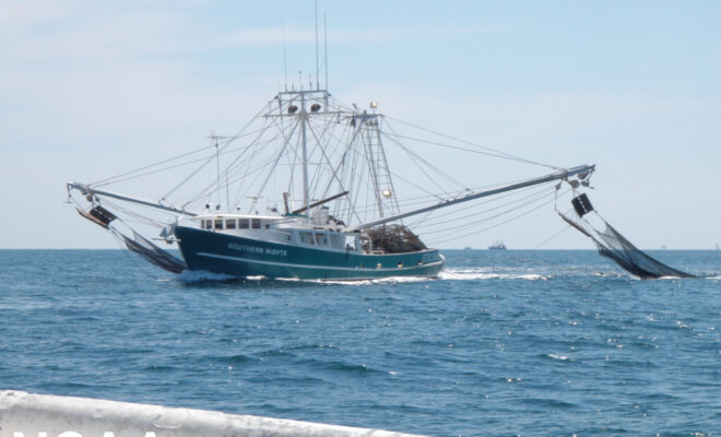 A shrimp boat trawls for shrimp in the Gulf of Mexico. (Image credit: NOAA Fisheries)
