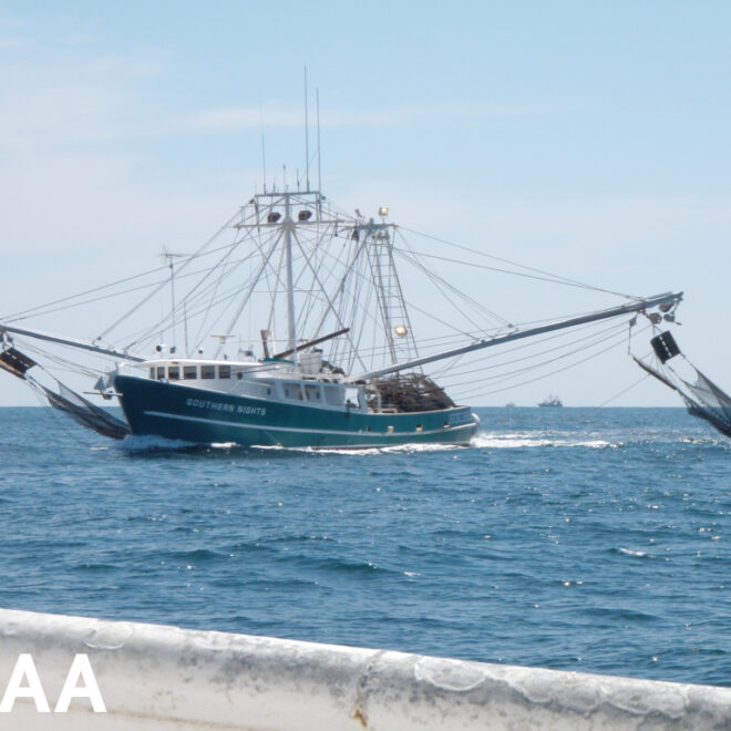 A shrimp boat trawls for shrimp in the Gulf of Mexico. (Image credit: NOAA Fisheries)