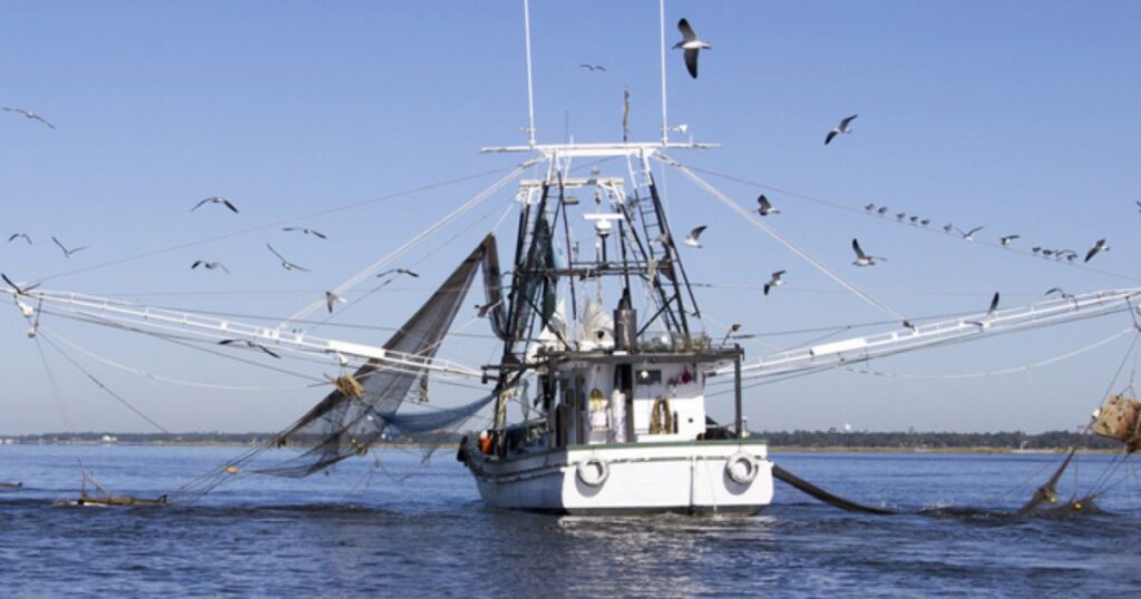 Gulf Coast Shrimping boat off Biloxi/Ocean Springs Coast, Mississippi. (Image credit: Getty Images)