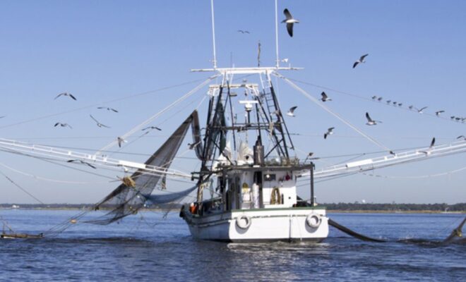 Gulf Coast Shrimping boat off Biloxi/Ocean Springs Coast, Mississippi. (Image credit: Getty Images)