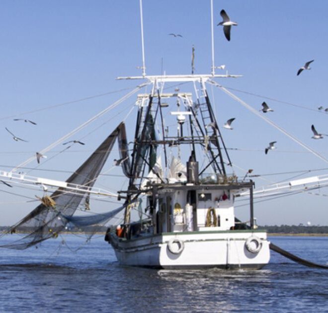 Gulf Coast Shrimping boat off Biloxi/Ocean Springs Coast, Mississippi. (Image credit: Getty Images)