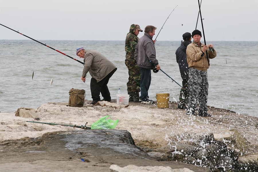 Fishing by Wikicommons