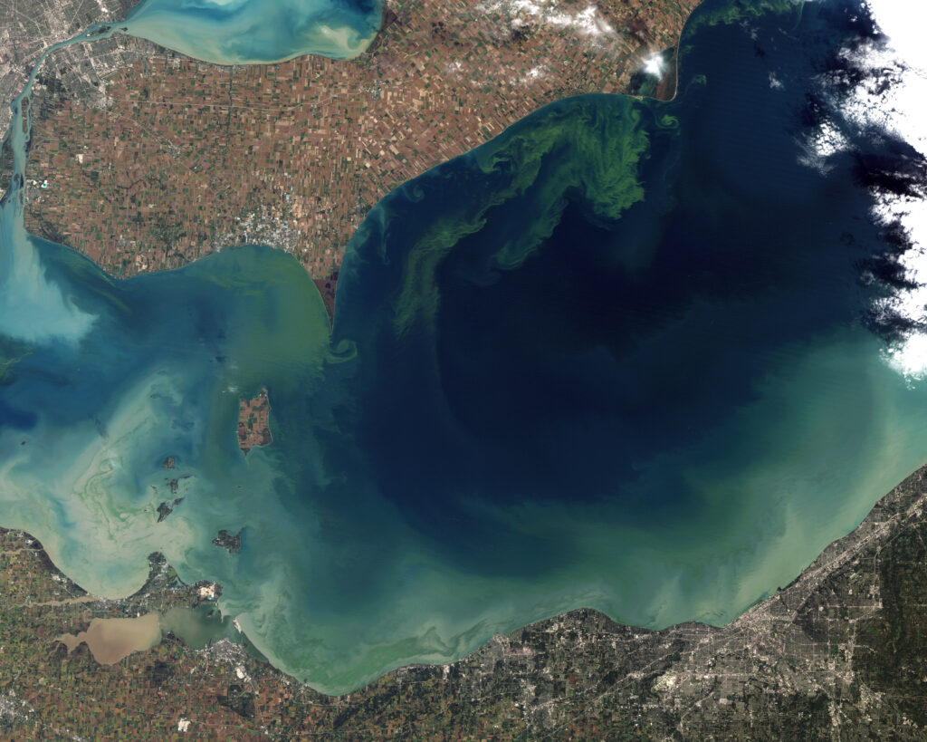 The green scum shown in this image is the worst algae bloom Lake Erie has experienced in decades by Wikicommons.