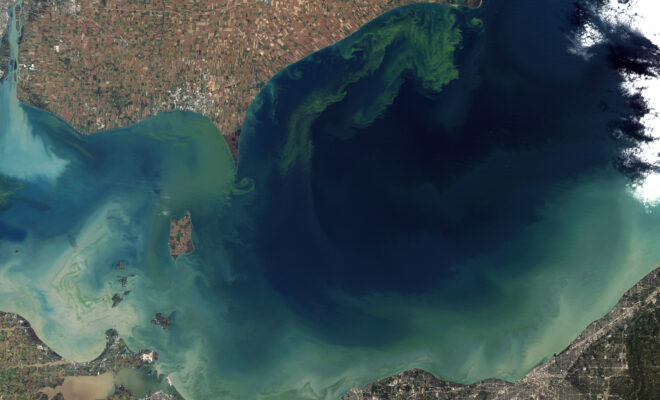 The green scum shown in this image is the worst algae bloom Lake Erie has experienced in decades by Wikicommons.