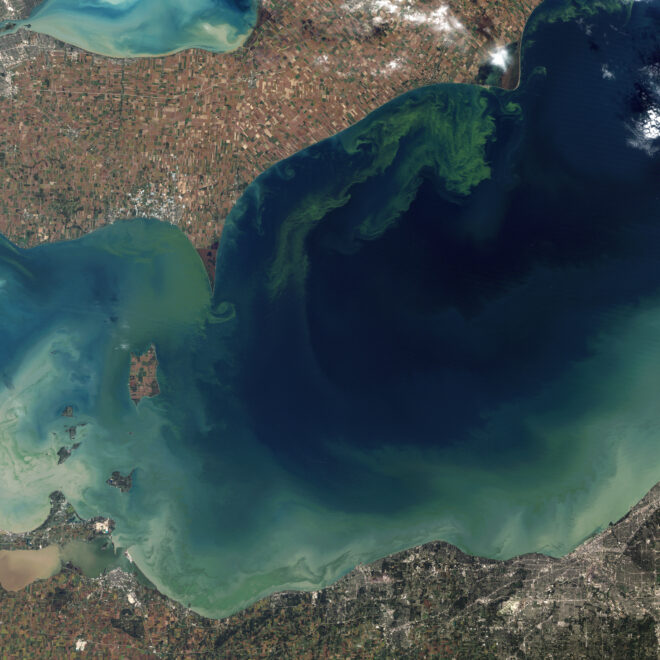 The green scum shown in this image is the worst algae bloom Lake Erie has experienced in decades by Wikicommons.