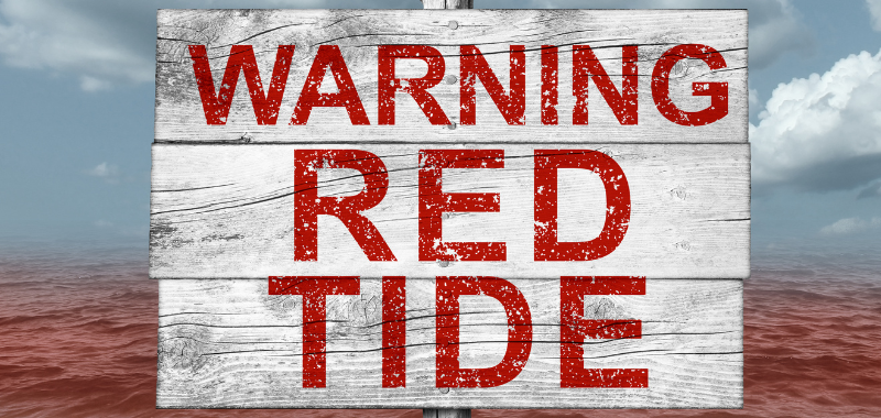 Red Tide Warning