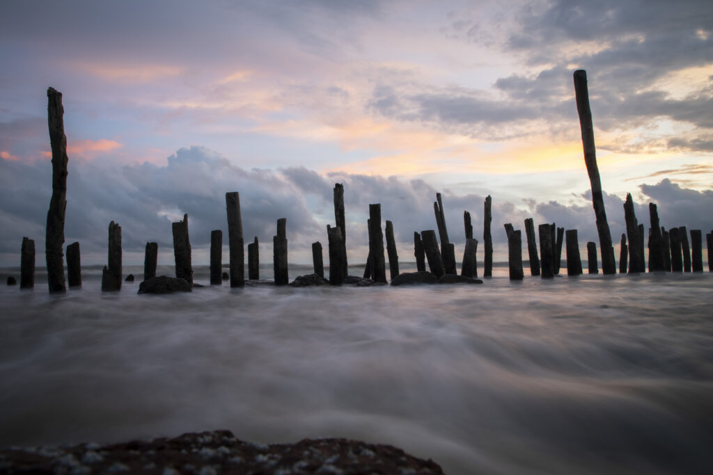 Brown Wooden Poles on Body of Water by Pexels.com