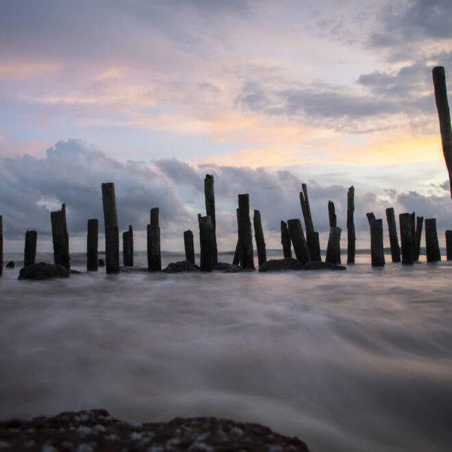 Brown Wooden Poles on Body of Water by Pexels.com
