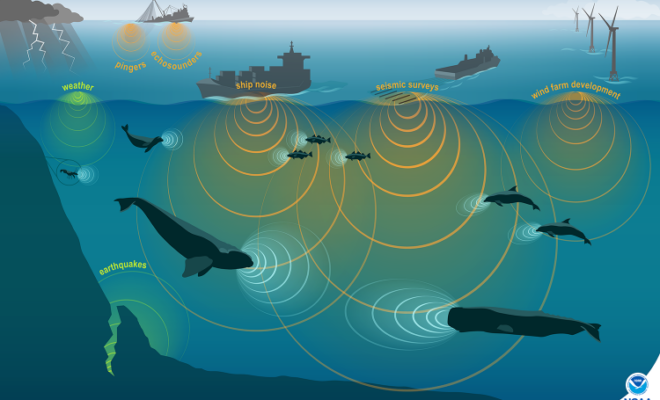 NOAA Fisheries studies marine animals by using a variety of technologies to record underwater ocean sounds. Marine animals live in a noisy habitat with combined noises from humans, nature, and other species. This conceptual illustration shows images of human, marine animal, and environmental sources of sound and approximately proportional sound waves. Credit: NOAA Fisheries.