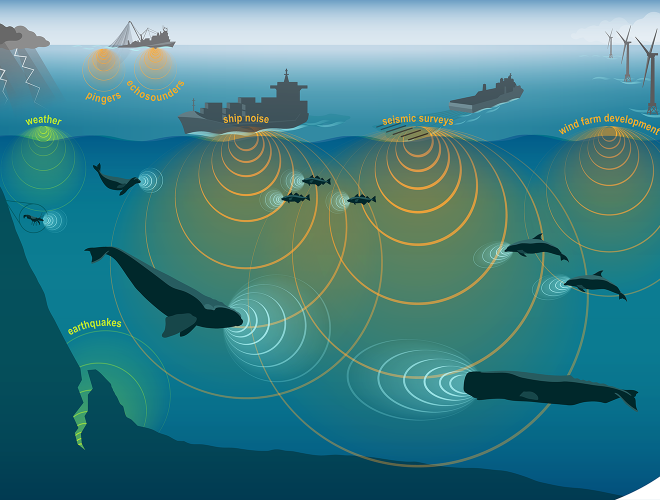 NOAA Fisheries studies marine animals by using a variety of technologies to record underwater ocean sounds. Marine animals live in a noisy habitat with combined noises from humans, nature, and other species. This conceptual illustration shows images of human, marine animal, and environmental sources of sound and approximately proportional sound waves. Credit: NOAA Fisheries.