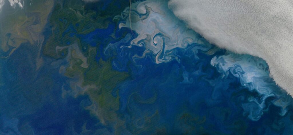 Phytoplankton blooms in the Barents Sea, shown in natural color from NASA's Aqua satellite on July 10, 2014. The solid white area in the top right corner is cloud cover. Credit: NASA's Earth Observatory.