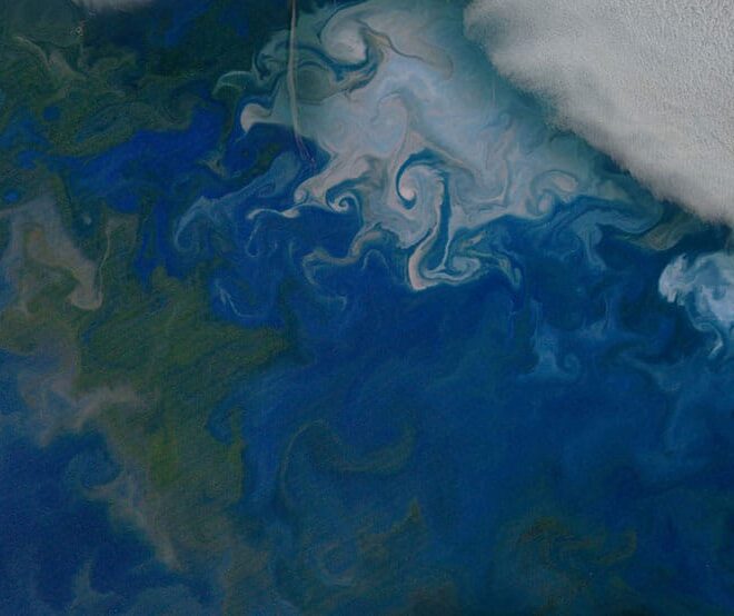 Phytoplankton blooms in the Barents Sea, shown in natural color from NASA's Aqua satellite on July 10, 2014. The solid white area in the top right corner is cloud cover. Credit: NASA's Earth Observatory.