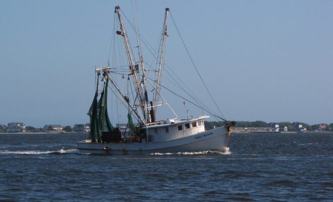 Photographed in Southport, North Carolina in Brunswick County near the mouth of the Cape Fear by flickr.