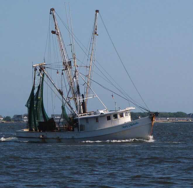 Photographed in Southport, North Carolina in Brunswick County near the mouth of the Cape Fear by flickr.