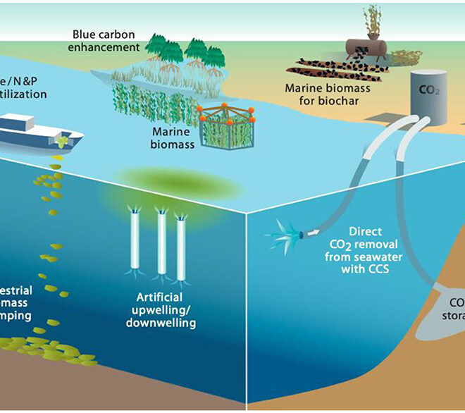 Proposed marine carbon dioxide removal by Wikkicommons.