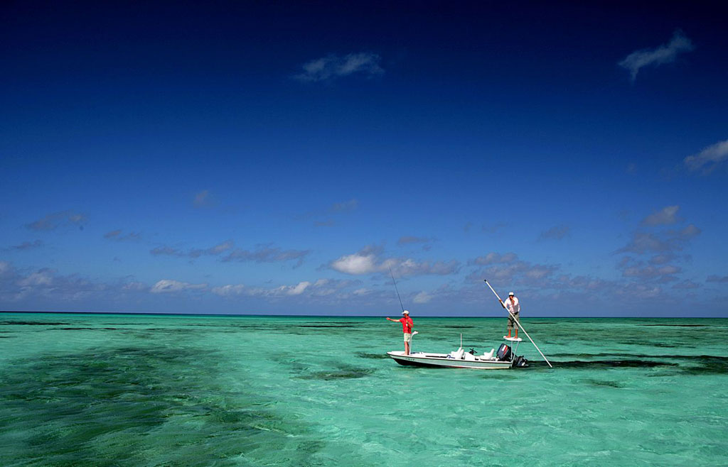 Exploring the World of Saltwater Fly Fishing