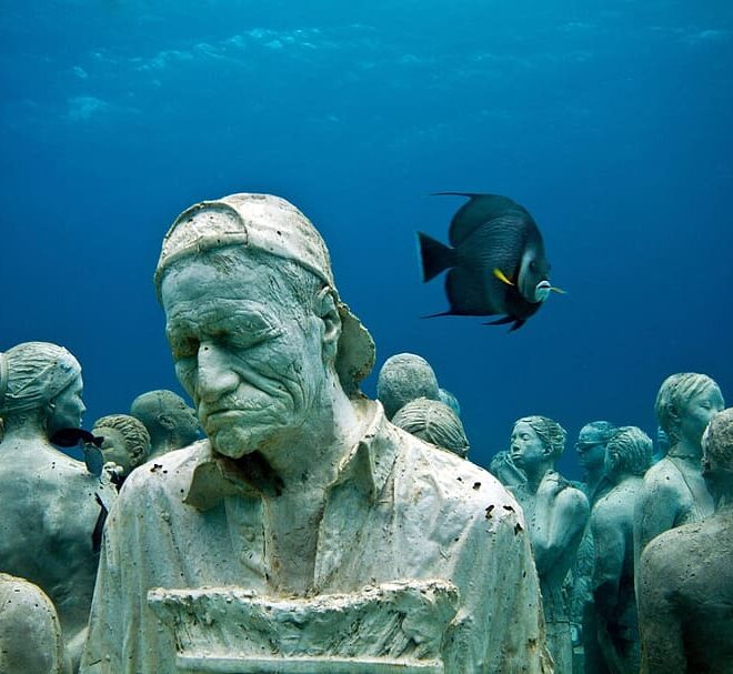 Sculpture, mar, sea, underwater, animal, sea life, undersea | Wallpaper Flare
