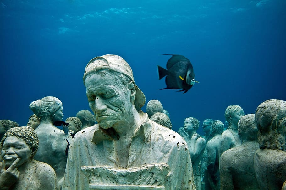 Sculpture, mar, sea, underwater, animal, sea life, undersea | Wallpaper Flare