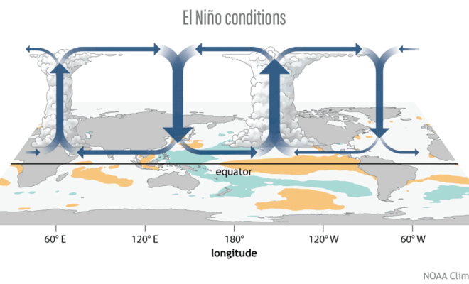 Three phases of the tropical Pacific atmospheric circulation pattern: El Niño, La Niña, and neutral. During El Niño, the engine driving tropical circulation shifts to the east, while during La Niña, it's stronger than average. Figure by climate.gov.