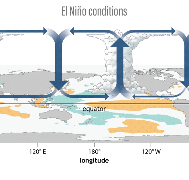 Three phases of the tropical Pacific atmospheric circulation pattern: El Niño, La Niña, and neutral. During El Niño, the engine driving tropical circulation shifts to the east, while during La Niña, it's stronger than average. Figure by climate.gov.