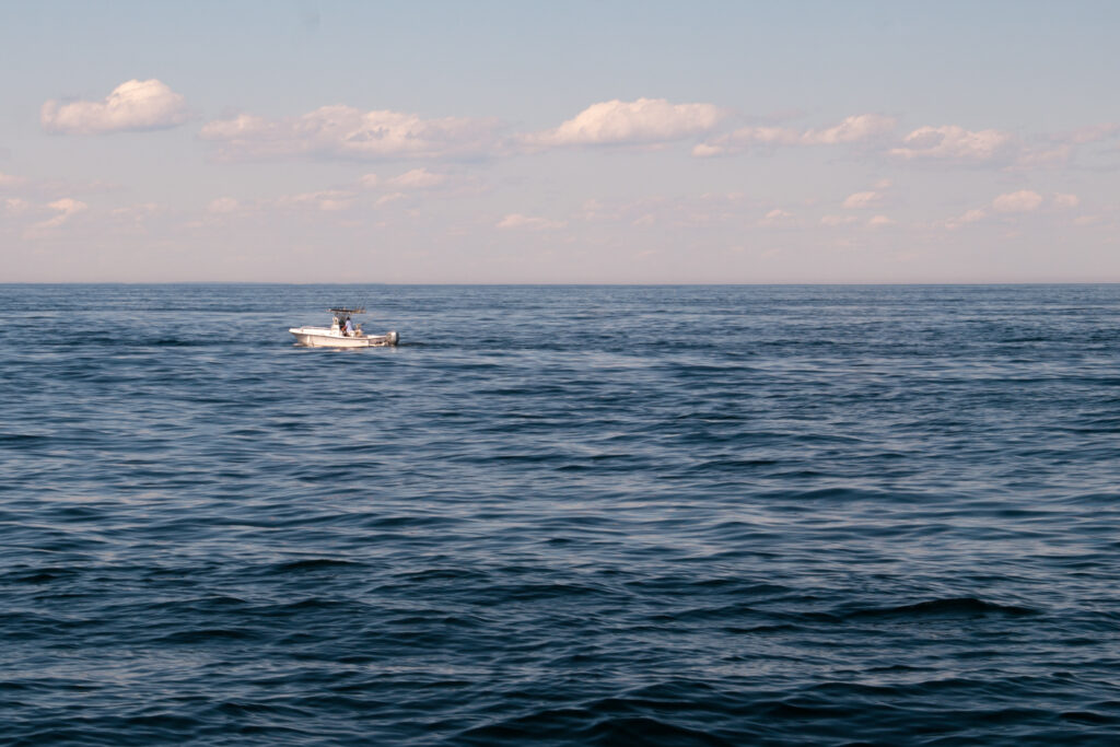 Gulf of Maine