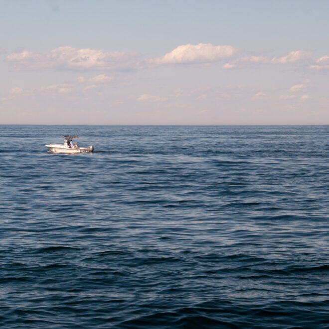 Gulf of Maine