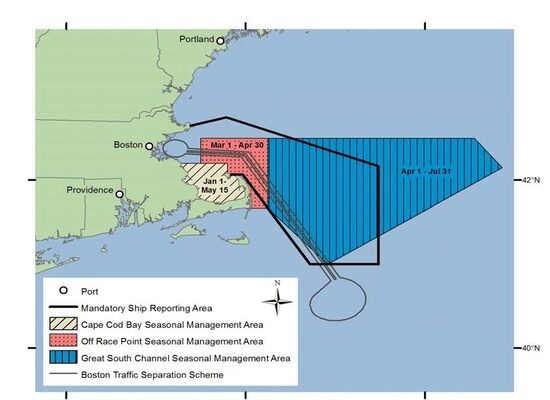 Right Whales by NOAA.