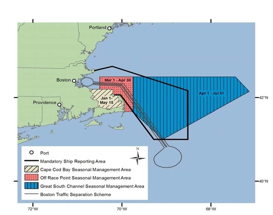 Right Whales by NOAA.