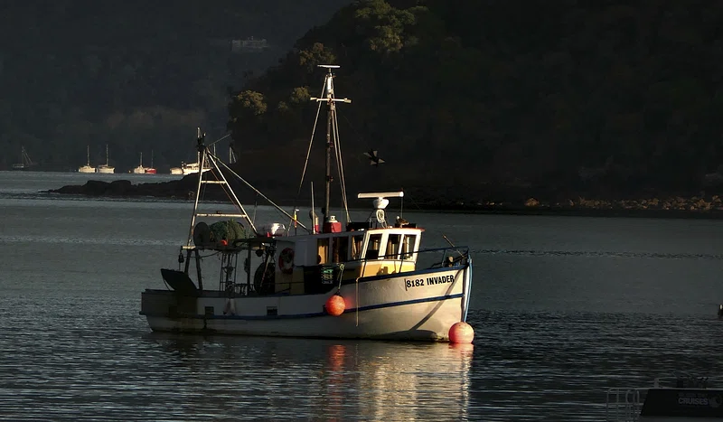 Contessa ToursMuch smaller boat than | Free Photo - rawpixel