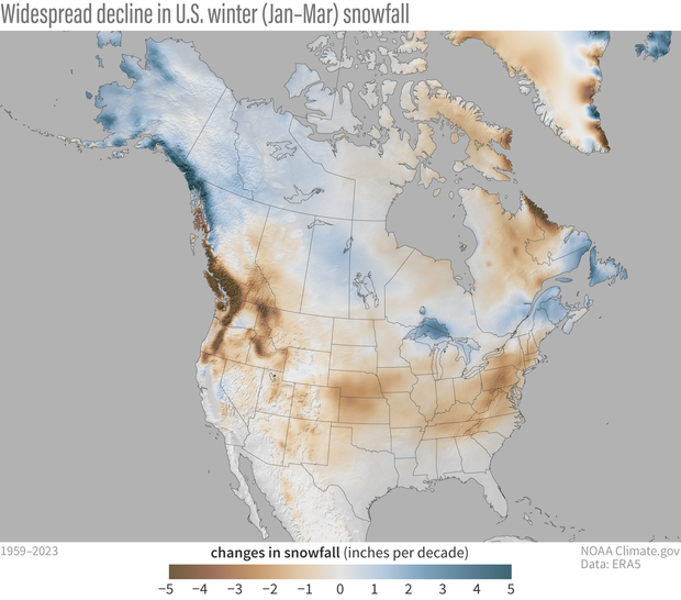 Changes in snowfall (in inches per decade) between 1959 and 2023. Across most of the United States—Alaska being the major exception—snowfall has declined (brown colors). NOAA Climate.gov map, based on ERA5 data from 1959-2023 analyzed by Michelle L'Heureux.
