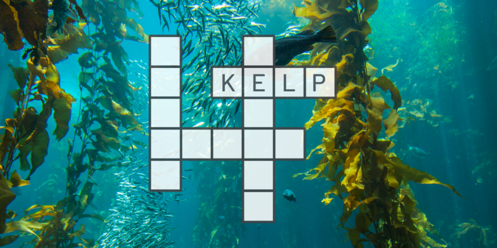 kelp forest crossword