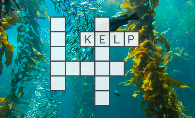 kelp forest crossword