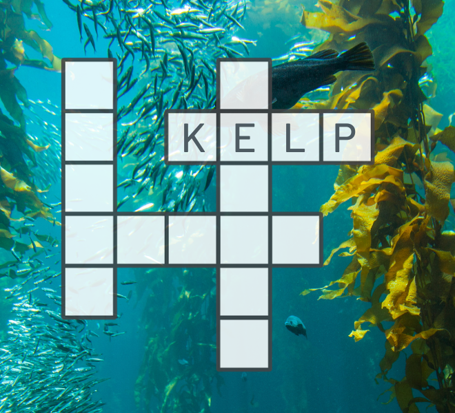 kelp forest crossword