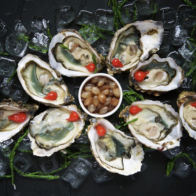 File:Oysters Delicacy Food.jpg - Wikimedia Commons