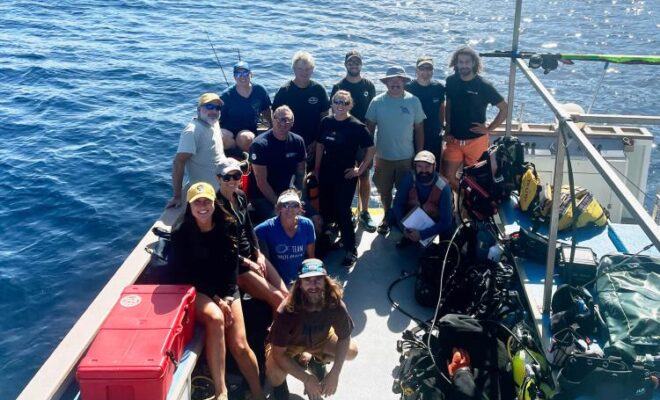 NOAA Fisheries’ white abalone recovery team–which includes partner organizations–had been planning this research trip for years. They were overjoyed at the discovery of a juvenile white abalone. Credit: NOAA Fisheries