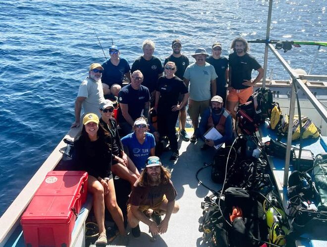 NOAA Fisheries’ white abalone recovery team–which includes partner organizations–had been planning this research trip for years. They were overjoyed at the discovery of a juvenile white abalone. Credit: NOAA Fisheries