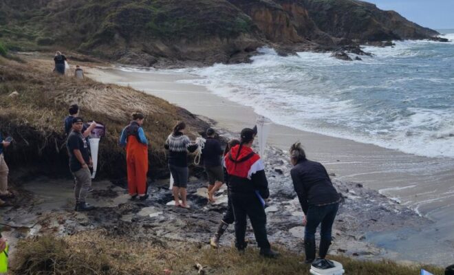 Workshop participants collect water samples to explore phytoplankton at Bodega Bay Marine Laboratory.