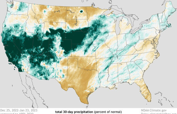 Percent of normal U.S. precipitation over the past 30 days (December 25, 2022, through January 23, 2023) after a series of weather events known as atmospheric rivers, fueled by tropical moisture, flooded the U.S. West with rain and snow. Places where precipitation was less than 100 percent of the 1991-2020 average are brown; places where precipitation was 300 percent or more than average are blue-green. NOAA Climate.gov image, based on analysis and data provided by the Climate Mapper website.