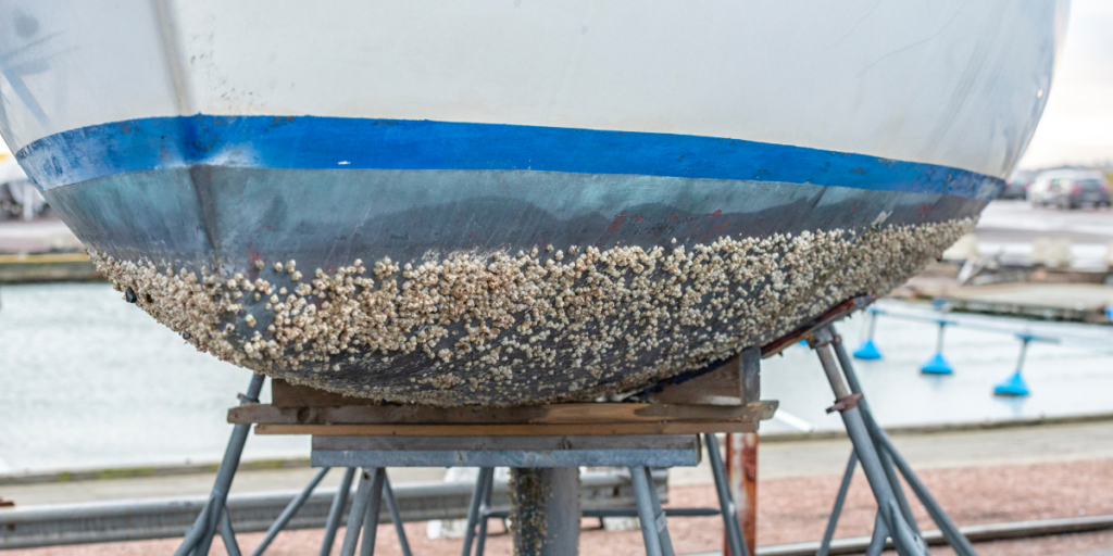 Boat hull with barnacles. Image from Canva.com