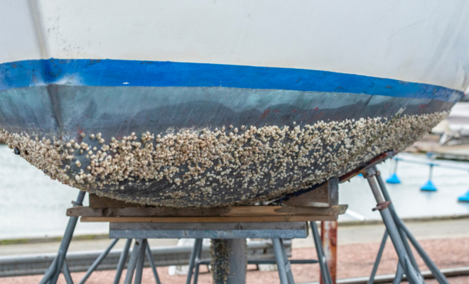 Boat hull with barnacles. Image from Canva.com