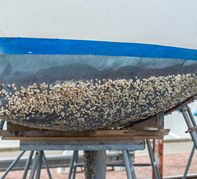 Boat hull with barnacles. Image from Canva.com
