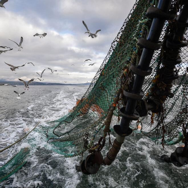 gettyimages.com