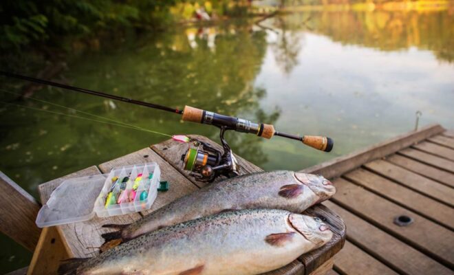 Local Fishing Information in Biddeford Pool, ME