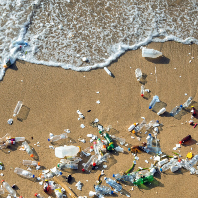 Image Credits: MARIO DE MOYA F/ISTOCK/GETTY IMAGES PLUS