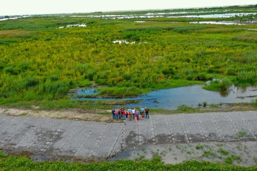 Project partners from NOAA and Louisiana Coastal Protection and Restoration Authority stand in the restored marsh (Photo: Nick Gremillion/CPRA