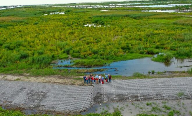 Project partners from NOAA and Louisiana Coastal Protection and Restoration Authority stand in the restored marsh (Photo: Nick Gremillion/CPRA