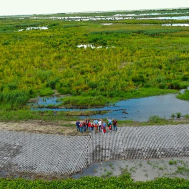 Project partners from NOAA and Louisiana Coastal Protection and Restoration Authority stand in the restored marsh (Photo: Nick Gremillion/CPRA