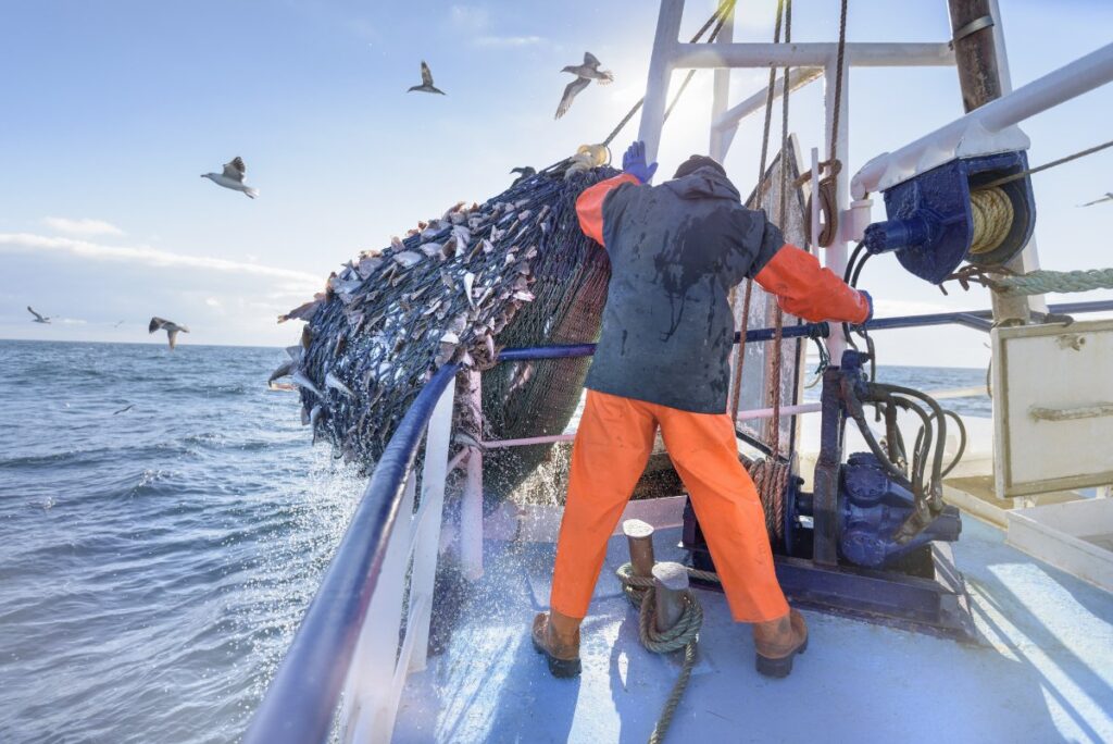 Image credit: Gettyimages.com