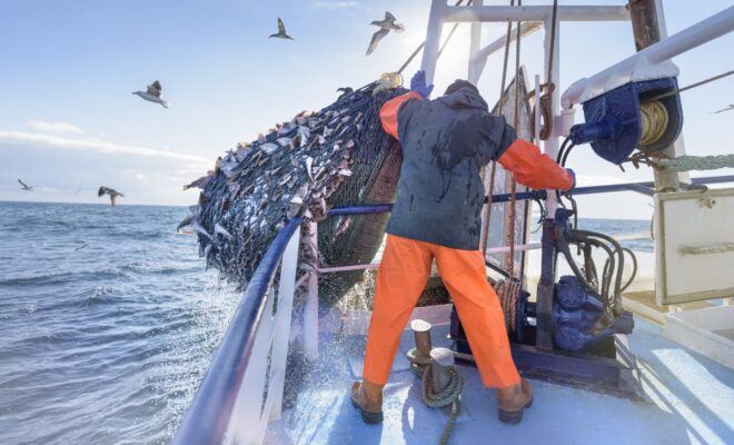 Image credit: Gettyimages.com