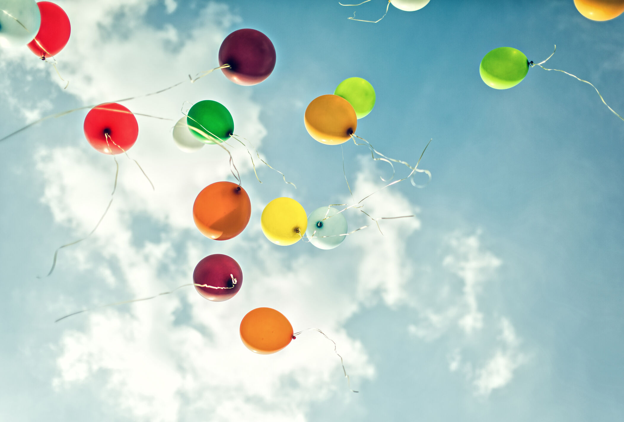 Florida Balloon Release Ban to Protect Wildlife | US Harbors